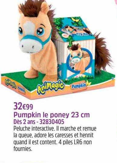 pumpkin le poney 23 cm