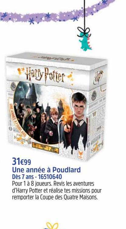 une année à poudlard harry potter