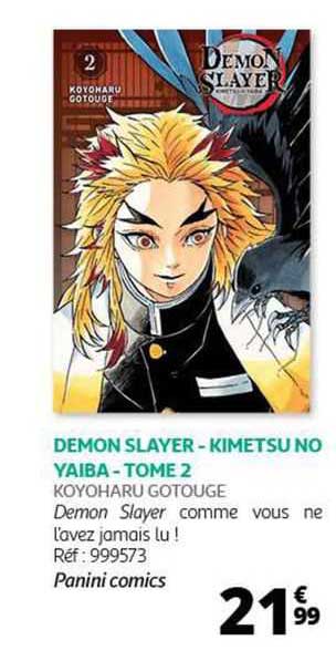 demon slayer - kimetsu no yaiba - tome 2