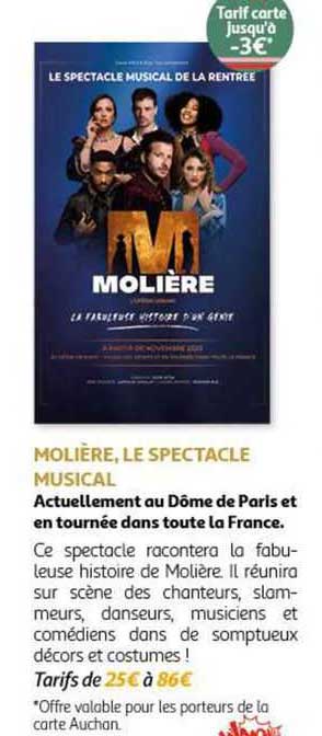 molière, le spectacle musical