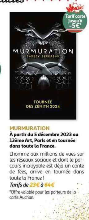 murmuration tournée des zénith 2024
