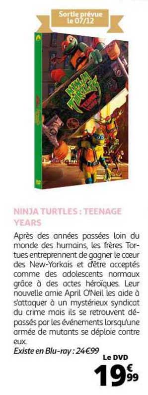 ninja turtles : teenage years