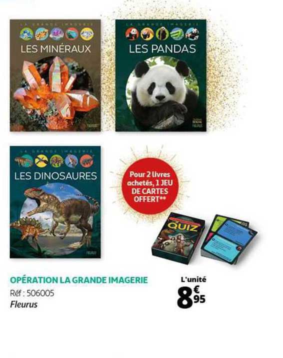 opération la grande imagerie