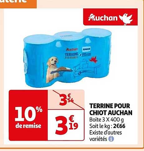 terrine pour chiot auchan