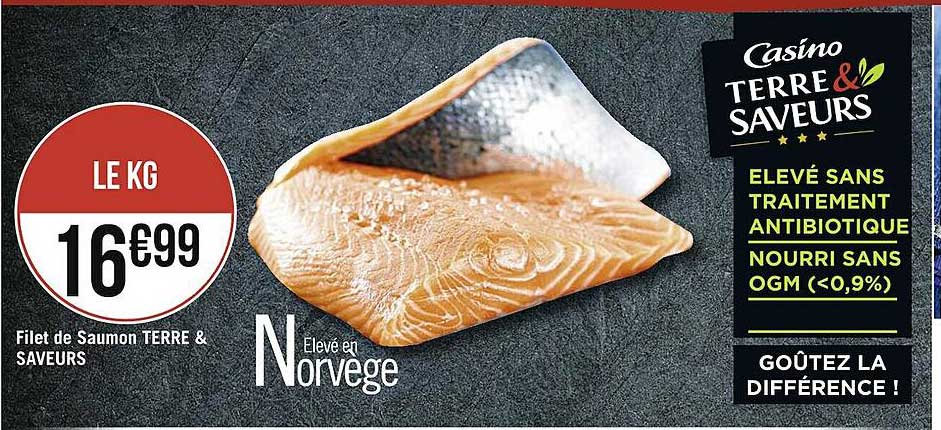Filet De Saumon Terre & Saveurs