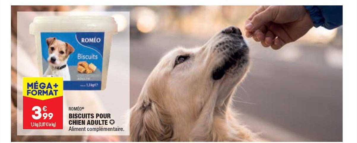 biscuits pour chien adulte roméo