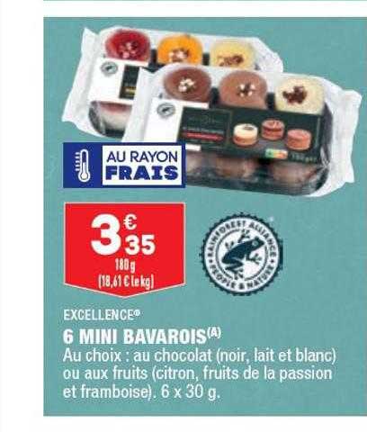 6 Mini Bavarois Excellence