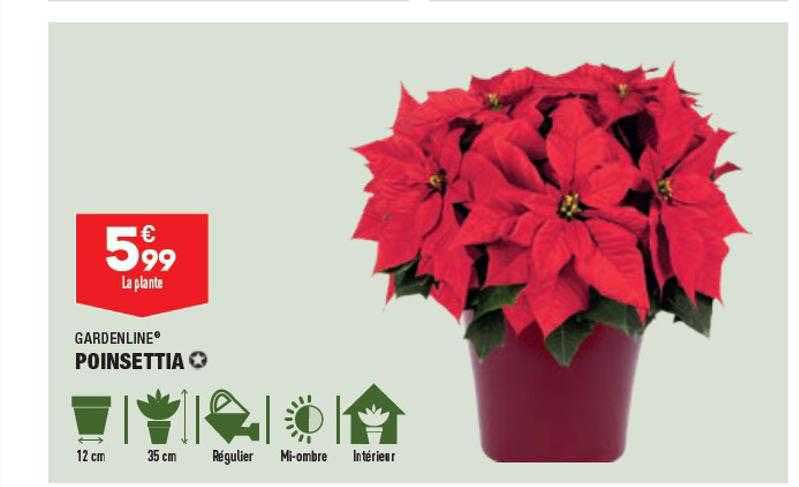 poinsettia gardenline
