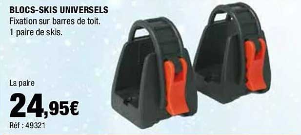 blocs-skis universels