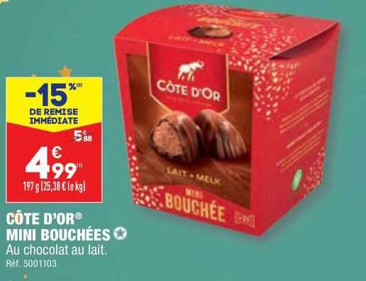 Côte D'or Mini Bouchées