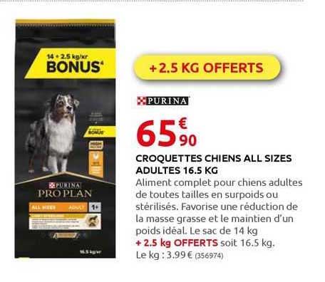 croquettes chiens all sizes adultes 16.5 kg