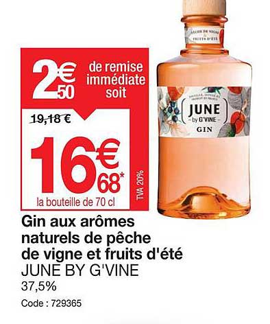 gin aux arômes naturels de pêche de vigne et fruits d'été june by g'vine