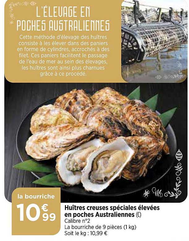 huîtres creuses spéciales élevées en poches australiennes