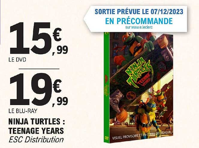 ninja turtles : teenage years