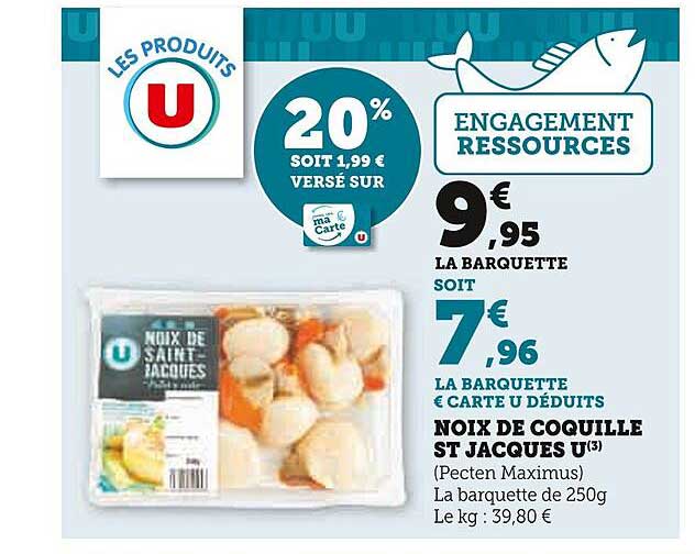 noix de coquille st jacques u