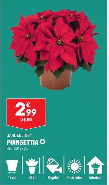 Poinsettia Gardenline