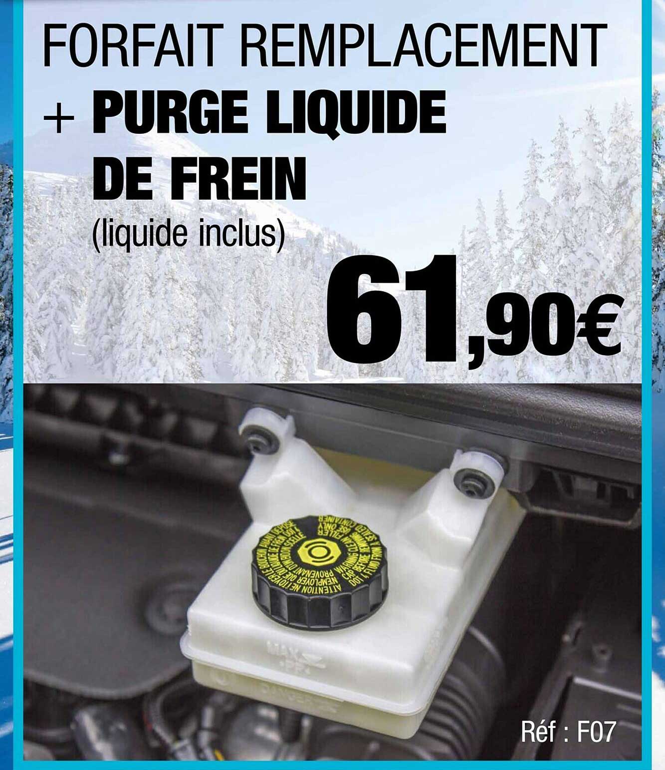 forfait remplacement + purge liquide de frein
