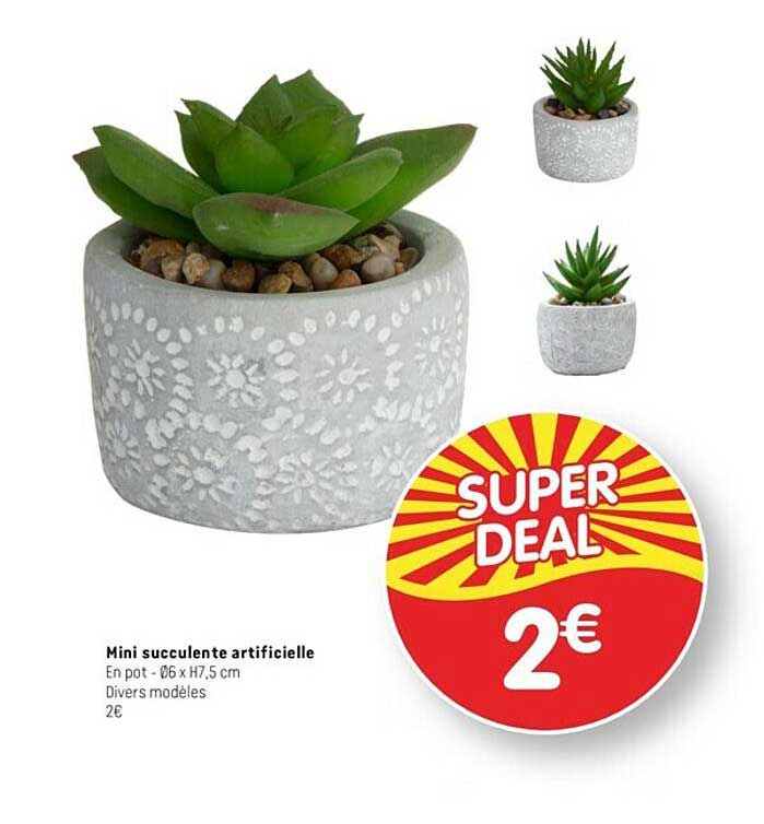 Mini Succulente Artificielle