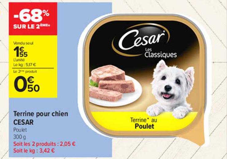 Terrine Pour Chien Cesar