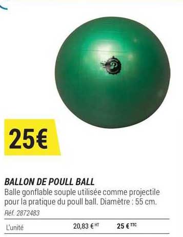 Ballon De Poull Ball