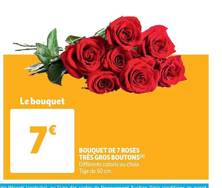 Bouquet De 7 Roses Très Gros Boutons