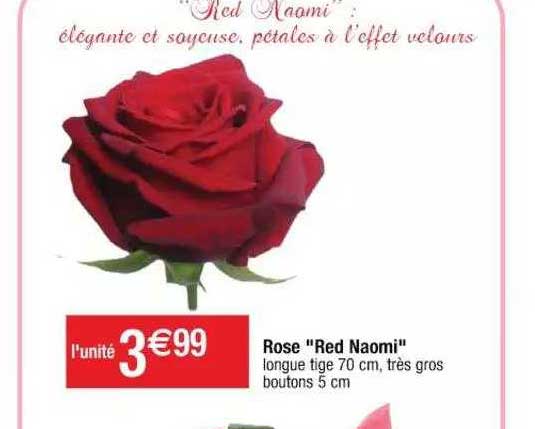 rose "red naomi"