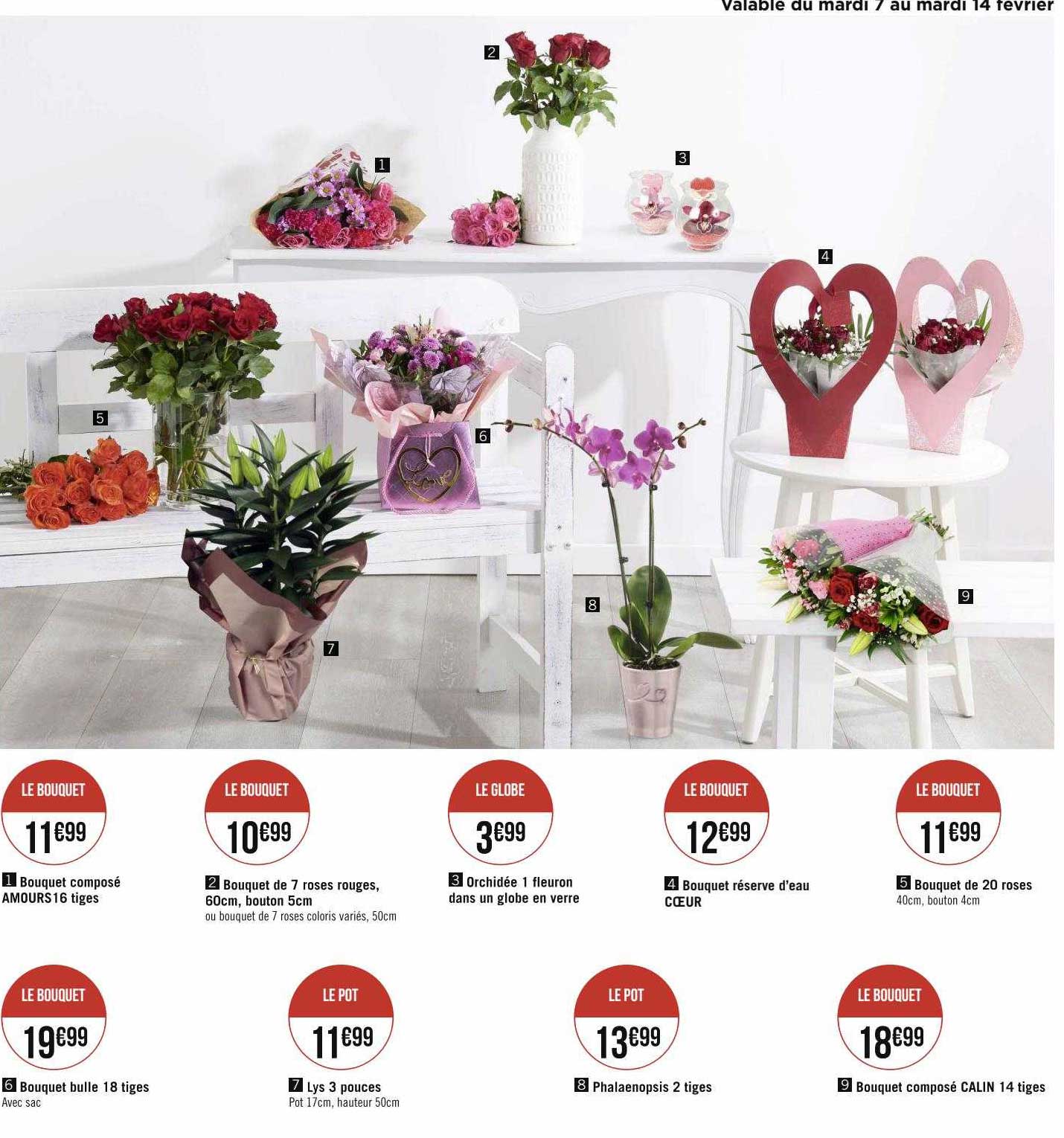bouquet composé amours 15 tiges, bouquet de 7 roses rouges, 60 cm, bouton 5 cm, orchidée 1 fleuron dans un globe en verre,  bouquet réserve d'eau cœur, bouquet de 20 roses, bouquet bulle 18 tiges