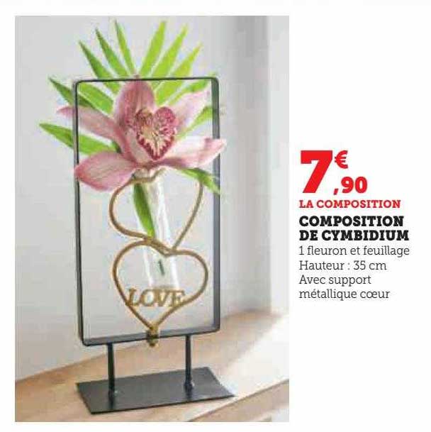 composition de cymbidium