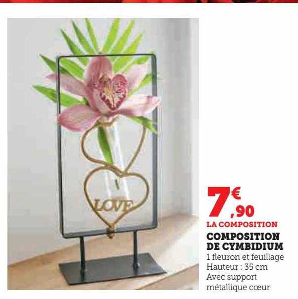 composition de cymbidium