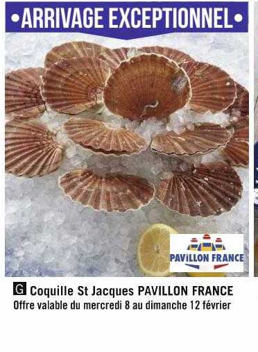 coquille st jacques pavillon france