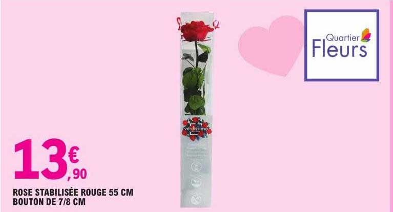 rose stabilisée rouge 55 cm bouton de 7-8 cm