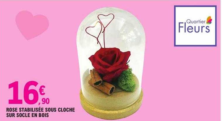 rose stabilisée sous cloche sur socle en bois