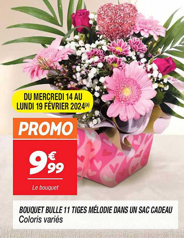 bouquet bulle 11 tiges mélodie dans un sac cadeau