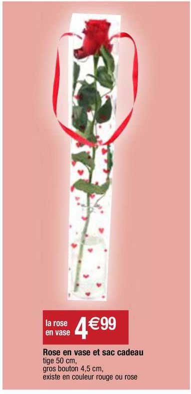 Rose En Vase Et Sac Cadeau