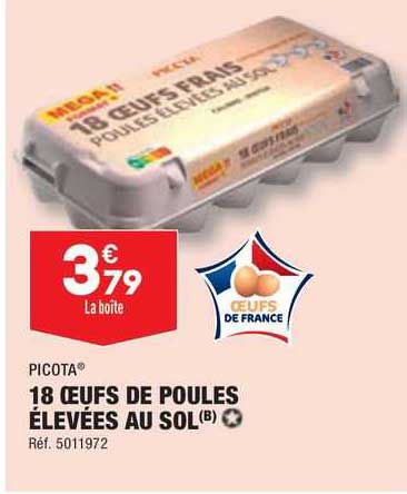 18 œufs de poules élevées au sol picota