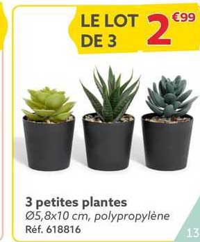 3 petites plantes
