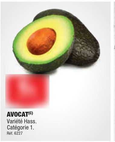 Avocat