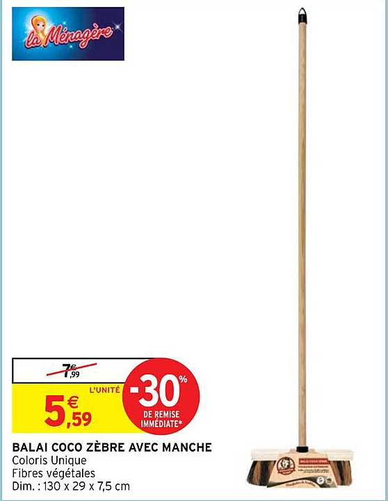 balai coco zèbre avec manche