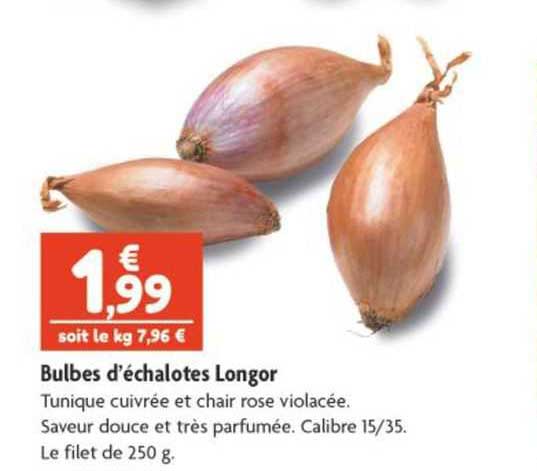 bulbes d'échalotes longor