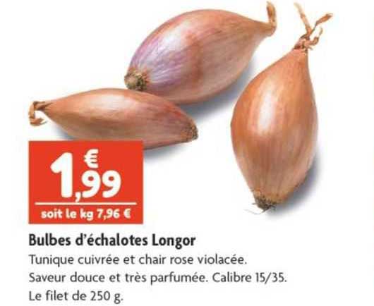 bulbes d'échalotes longor