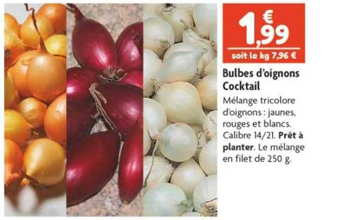 bulbes d'oignons cocktail