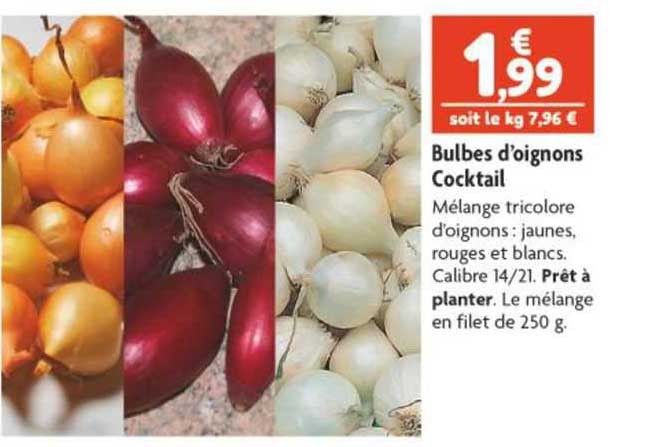 bulbes d'oignons cocktail