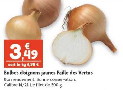 bulbes d'oignons jaunes paille des vertus