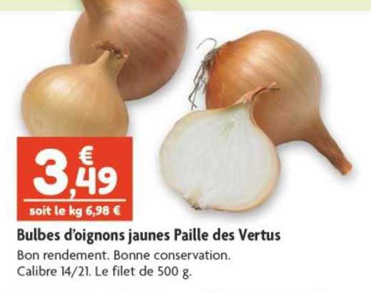 bulbes d'oignons jaunes paille des vertus
