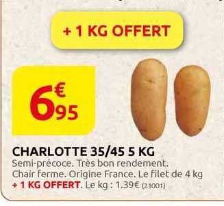 charlotte 35/45 5 kg