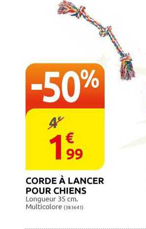 corde à lancer pour chiens