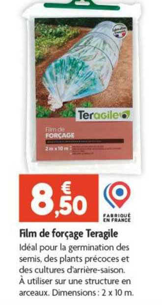 film de forçage teragile