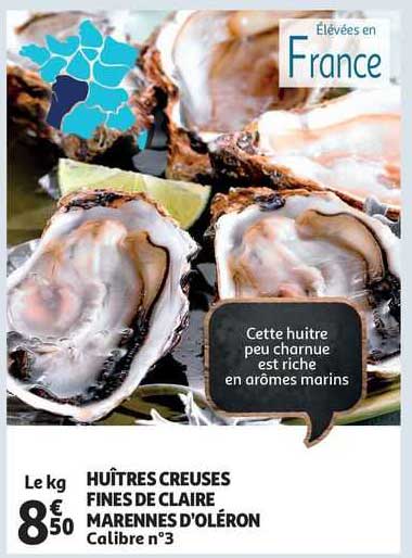 huîtres creuses fines de claire marennes d'oléron