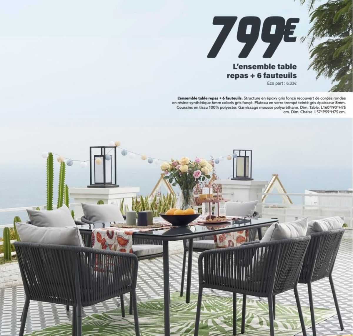 l'ensemble table repas + 6 fauteuils