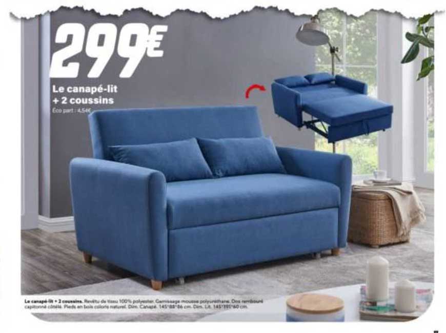 le canapé-lit + 2 coussins